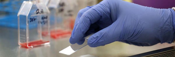 UCR- Hand with Glass test Plate