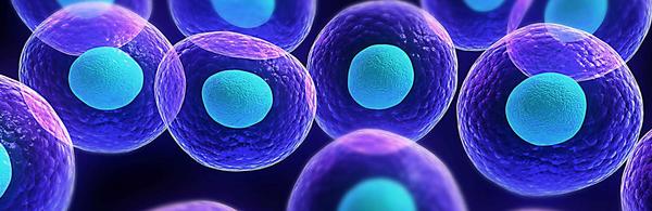 Glowing Cells